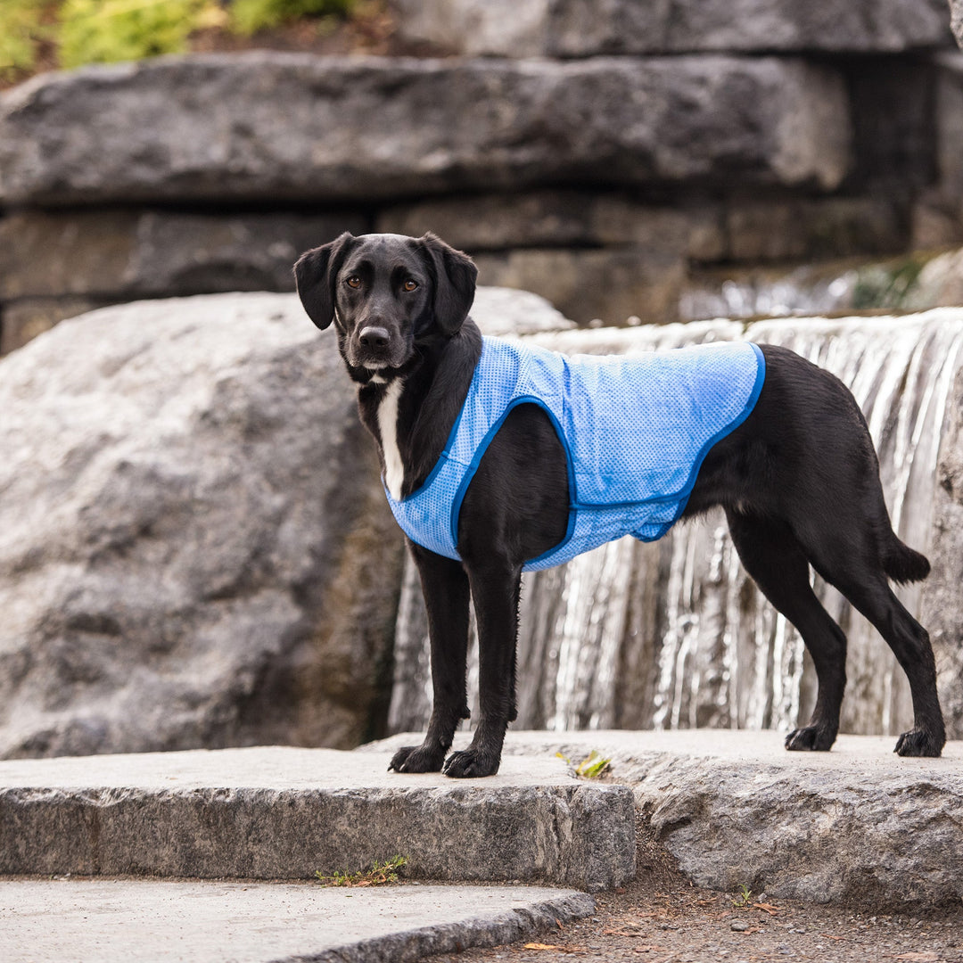 Elasto-Fit Ice Vest - Blue