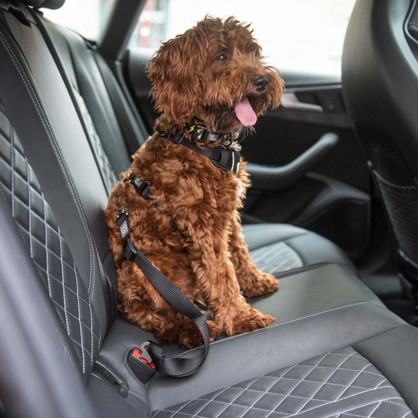 Pet Seat Belt Tether