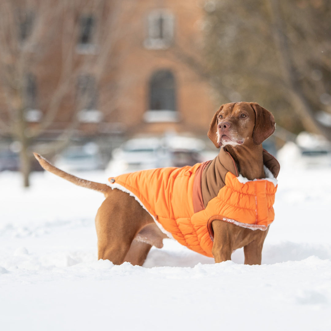 Camplife Puffer - Orange