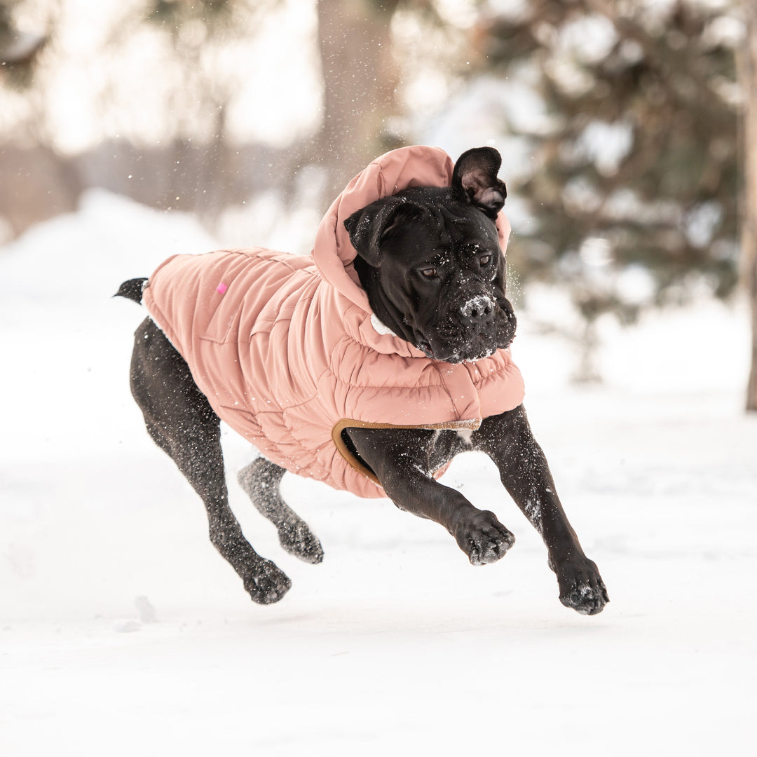 Arctic Parka - Clay