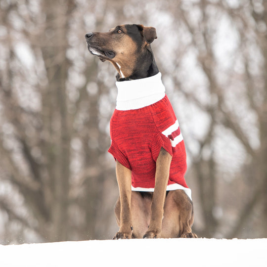 Trekking Sweater - Red