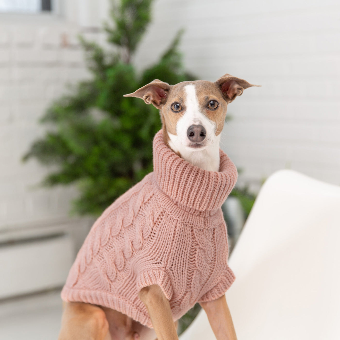 Chalet Sweater - Pink