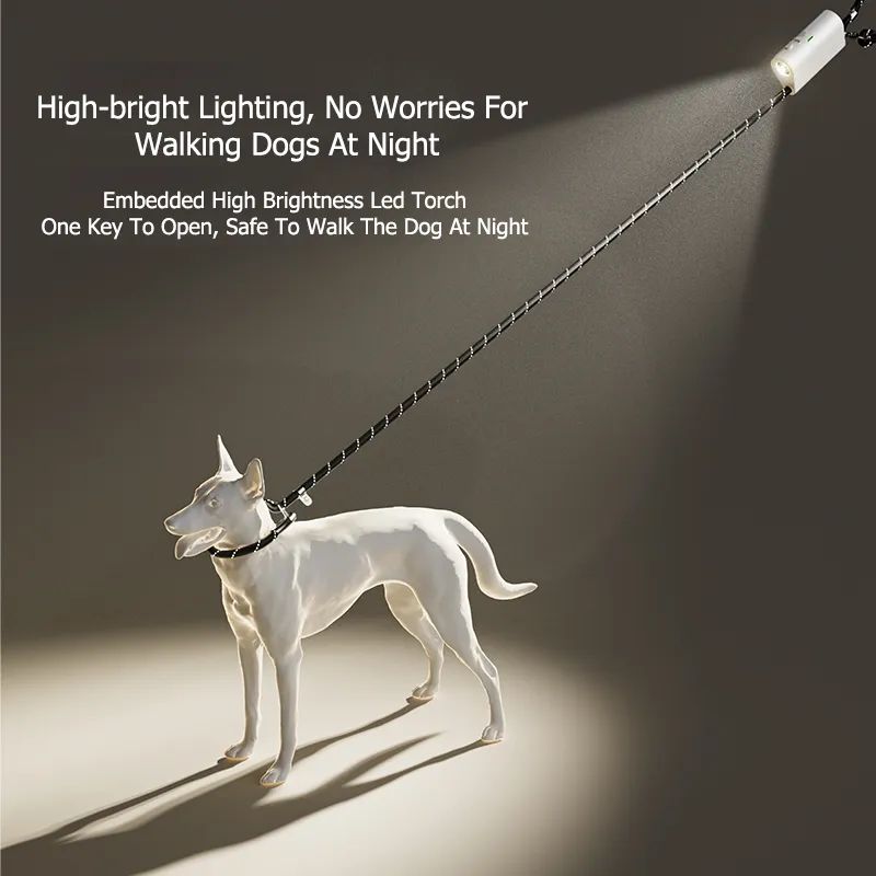 AnniePaw Patent LumiLeash Pro: All-in-One Dog Leash