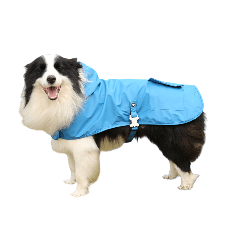 Anniepaw Aurora NatureShield Chic Dog Waterproof Raincoat