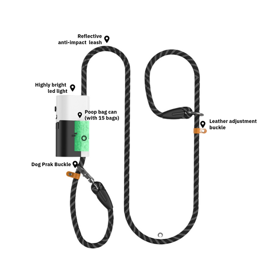 AnniePaw Patent LumiLeash Pro: All-in-One Dog Leash